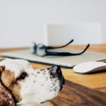 E-Mail Beratungspakete